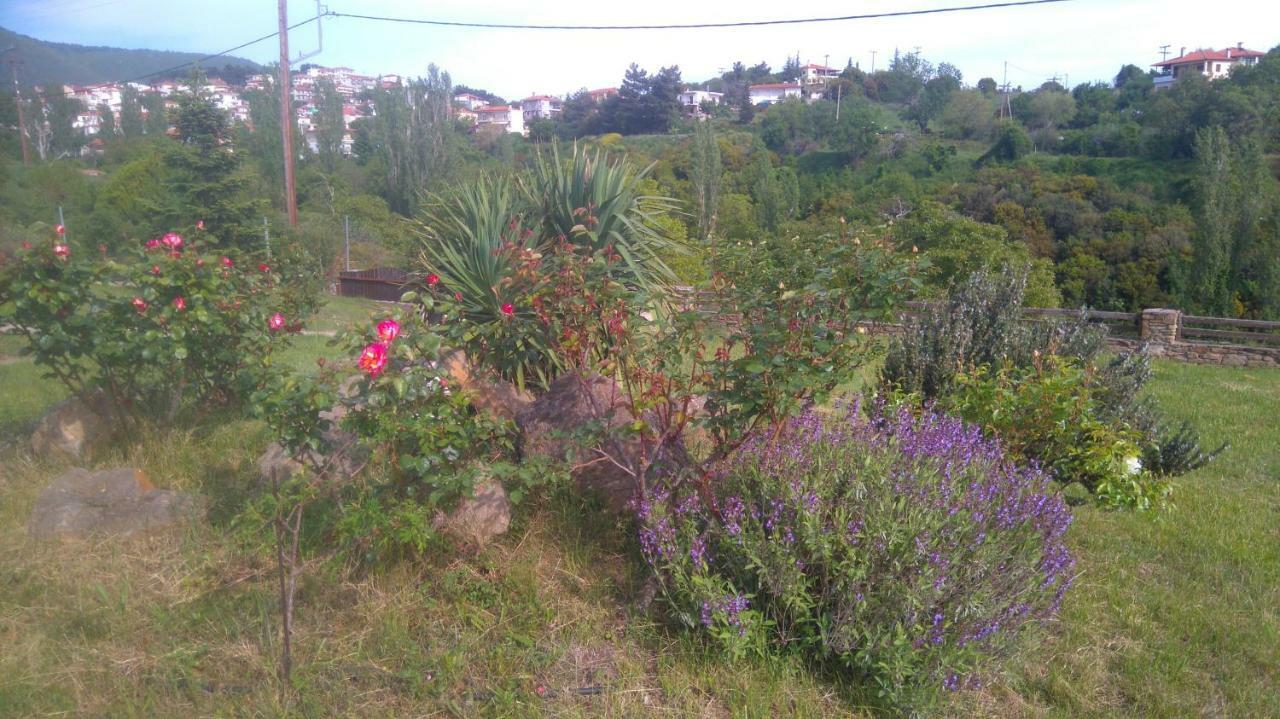 Geomelia Guest 1 & Geomelia Guest 2 Holiday home *
